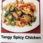 Best Tangy Spicy Chicken in Houston, TX